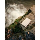 Samsung MU-PE1T0K 1 To USB Type-C 3.2 Gen 2 (3.1 Gen 2) Beige SSD externe Beige, 1 To, USB Type-C, 3.2 Gen 2 (3.1 Gen 2), 1050 Mo/s, Protection par mot de passe, Beige