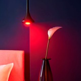 Shelly Duo RGBW, GU10, Lampe à LED 