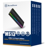 SilverStone MS13, Boîtier disque dur Noir