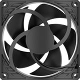 ARCTIC ACFAN00299A, Ventilateur de boîtier 