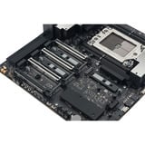 ASUS PRO WS TRX50-SAGE WIFI A AMD TRX50 Socket sTR5 CEB carte mère socket sTR5 Noir/gris, AMD, Socket sTR5, AMD Ryzen Threadripper 7000 Series, AMD Ryzen Threadripper PRO 7000 WX-Series, Socket sTR5, DDR5-SDRAM, DIMM