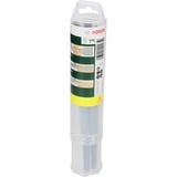 Bosch 2 607 019 457 Mèche, Jeu de Burin  Vert, 850 g