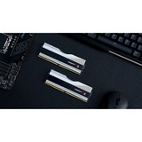 G.Skill 32 Go DDR5-6000 (2x 16 Go) mémoire vive Argent, F5-6000J3040F16GX2-TZ5RS, XMP 3.0