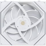 Lian Li Lian Li UNI FAN TL FLEX 120 WL wh ventilateur de boîtier RGB  Blanc, 120 x 124 x 28 mm, PWM