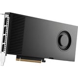 PNY NVIDIA RTX PRO 4000 Blackwell 24GB PB, Carte graphique Vente au détail