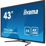 iiyama ProLite X4373UHSU-B1, Affichage public Noir, 4K Ultra HD, HDMI, DisplayPort, USB, Audio