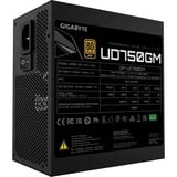 GIGABYTE GP-UD750GM 750W alimentation  Noir