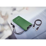 Intenso Powerbank F10000 Vert Vert