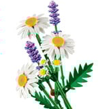 LEGO Botanicals Marguerite, Jouets de construction 