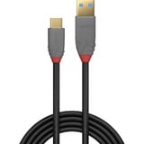 Lindy Câble USB 3.2 Type A vers C, Anthra Line Gris