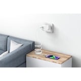 Nevox Câble USB 2.0, connecteur USB-C > connecteur USB-C 48V / 5A Blanc