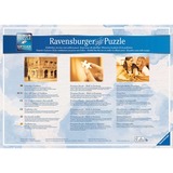 Ravensburger RAV Puzzle Märchenschloss in 4 Jahresz.| 16137 18000 pièce(s) 18000 pièce(s), 14 an(s)