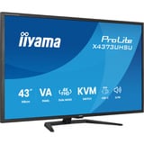 iiyama ProLite X4373UHSU-B2 42.5" 4K Ultra HD Moniteur Noir (Mat), 1x DisplayPort, 2x HDMI, 3x USB-C, 2x USB-A, 108 cm (42.5"), 3840 x 2160 pixels, 4K Ultra HD, LED, 3 ms, Noir