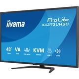 iiyama ProLite X4373UHSU-B2 42.5" 4K Ultra HD Moniteur Noir (Mat), 1x DisplayPort, 2x HDMI, 3x USB-C, 2x USB-A, 108 cm (42.5"), 3840 x 2160 pixels, 4K Ultra HD, LED, 3 ms, Noir