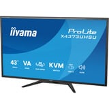 iiyama ProLite X4373UHSU-B2 42.5" 4K Ultra HD Moniteur Noir (Mat), 1x DisplayPort, 2x HDMI, 3x USB-C, 2x USB-A, 108 cm (42.5"), 3840 x 2160 pixels, 4K Ultra HD, LED, 3 ms, Noir