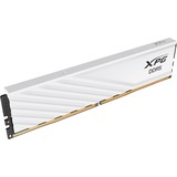 ADATA 16 Go DDR5-6000 (1x 16 Go) mémoire vive Blanc, AX5U6000C4816G-SLABWH, XMP 3.0, EXPO