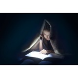 Ansmann 1600-0428, Lampe de poche Argent/Noir