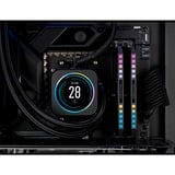 Corsair D532Go 6000-30 DominaTor Plat. bk K2 COR, Mémoire vive Noir