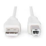Digitus Câble de connexion USB 2.0 USB-A (mâle) > USB-B (mâle) Beige