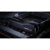 G.Skill 32 Go DDR5-6000 (2x 16 Go) mémoire vive Noir, F5-6000J3636F16GX2-TZ5K, XMP 3.0