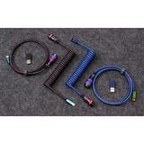 Keychron Premium Coiled Aviator Cable - Rainbow Plated Blue, Angled, Câble Bleu, 1,08 mètres