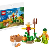 LEGO 30590, Jouets de construction