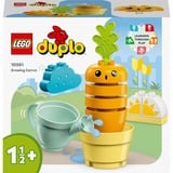 LEGO DUPLO - Carotte en croissance, Jouets de construction 