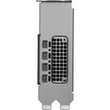 PNY NVIDIA RTX PRO 2000 Blackwell Generation 16 Go PB, Carte graphique 4x Mini DisplayPort 2.1, en vrac, En vrac