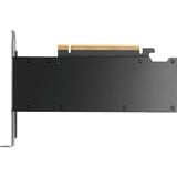 PNY VCNRTXPRO2000-PB, Carte graphique En vrac