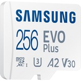 SAMSUNG EVO Plus 256 GB microSDXC (2024), Carte mémoire Blanc