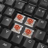 Sharkoon PureWriter W100 RGB clavier gaming mécanique Noir, Huano Silent, 100%