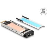 DeLOCK Cadre amovible pour 1 x SSD M.2 NVMe pour 47028 