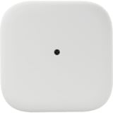 Fairphone  earbuds Blanc