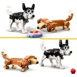 LEGO Créateur 3-en-1 - Chiens mignons, Jouets de construction 