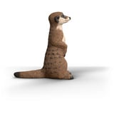 Schleich Wild Life Suricate, Figurine 