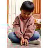 Schleich Wild Life Suricate, Figurine 