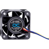 Alphacool 24826 système de refroidissement d’ordinateur Universel Ventilateur 4 cm Noir 1 pièce(s), Ventilateur de boîtier Noir, Ventilateur, 4 cm, 400 tr/min, 15000 tr/min, 49,2 dB, 38,39 m³/h