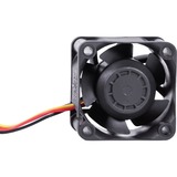 Alphacool 24826 système de refroidissement d’ordinateur Universel Ventilateur 4 cm Noir 1 pièce(s), Ventilateur de boîtier Noir, Ventilateur, 4 cm, 400 tr/min, 15000 tr/min, 49,2 dB, 38,39 m³/h