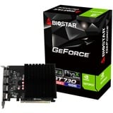 Biostar GeForce GT 730, Carte graphique 