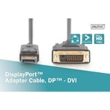 Digitus Câble adaptateur DisplayPort > DVI-D, Interlock Noir