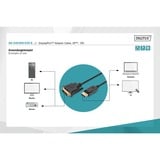 Digitus Câble adaptateur DisplayPort > DVI-D, Interlock Noir