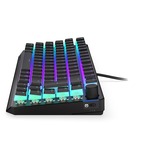 ENDORFY clavier gaming Noir, Layout DE, Kailh BOX Black