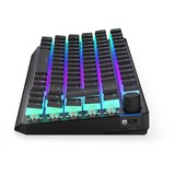 ENDORFY clavier gaming Noir, Layout DE, Kailh BOX Black