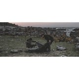 Easy Camp Tente dôme Setesdal 4 Vert olive