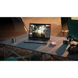 LaCie Rugged Mini 500 GB SSD externe Orange/Argent