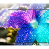 Medion LIFE MD 855701 Google TV 55" 4K Ultra HD QLED Noir