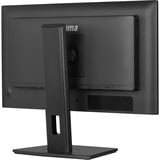 iiyama  24" Moniteur  Noir (Mat)
