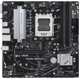 ASUS PRIME A620M-A-CSM carte mère socket AM5 Noir/Argent, RAID, Gb-LAN, Sound, µATX