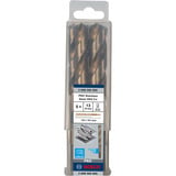 Bosch Bosc 5 Metallbohrer HSS-Co 13x101x151mm, Perceuse 