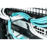Digitus Panneau de guidage des câbles avec brosses pour armoires de 483 mm (19"), Guide-câble Noir, 1 HE